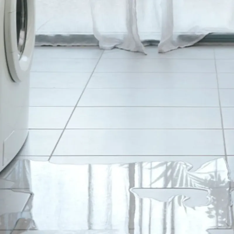 Appliance Leak Cleanup in Lake Hamilton, AR