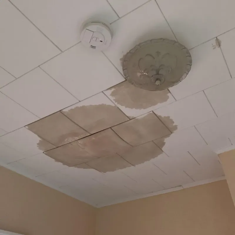 Ceiling Water Damage Repair in Lake Hamilton, AR